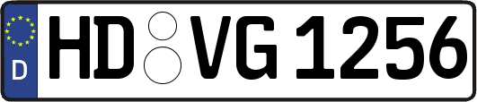 HD-VG1256