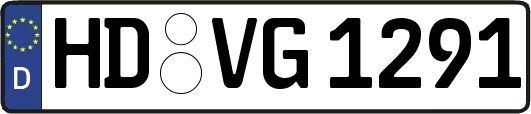 HD-VG1291