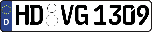HD-VG1309