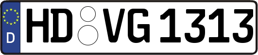HD-VG1313