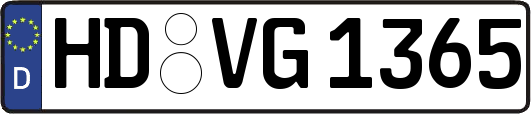 HD-VG1365