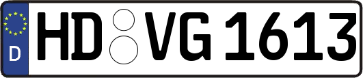 HD-VG1613