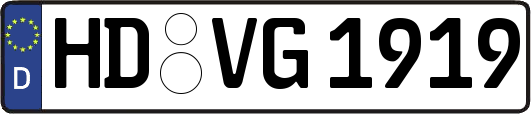 HD-VG1919