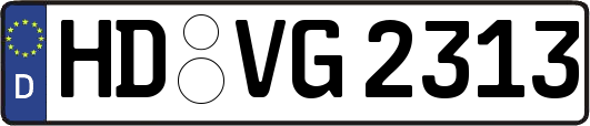 HD-VG2313