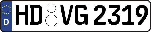 HD-VG2319