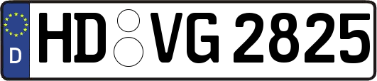HD-VG2825