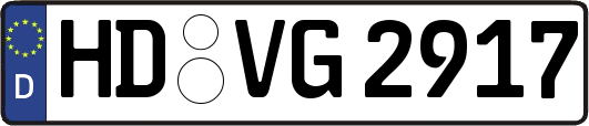 HD-VG2917