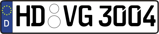 HD-VG3004