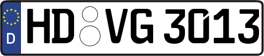 HD-VG3013