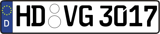 HD-VG3017