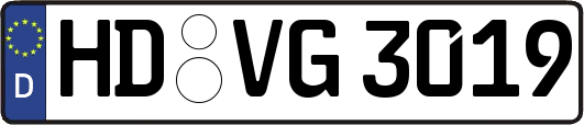 HD-VG3019