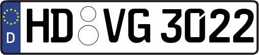 HD-VG3022