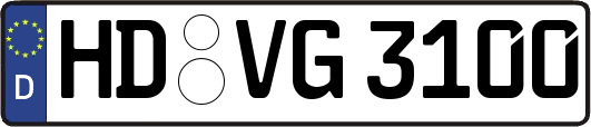 HD-VG3100