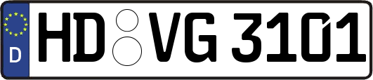 HD-VG3101