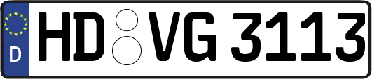 HD-VG3113