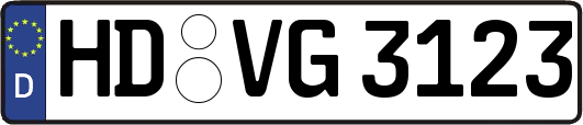 HD-VG3123