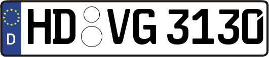 HD-VG3130