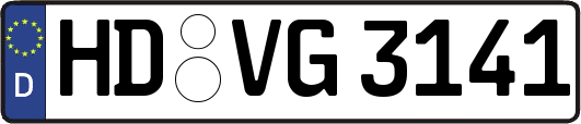 HD-VG3141