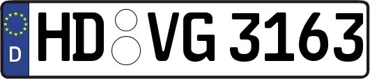HD-VG3163