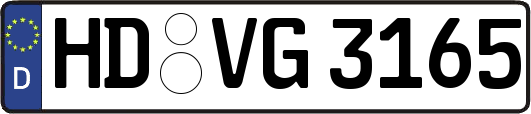 HD-VG3165