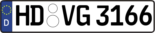 HD-VG3166