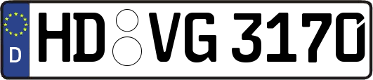 HD-VG3170