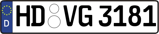 HD-VG3181