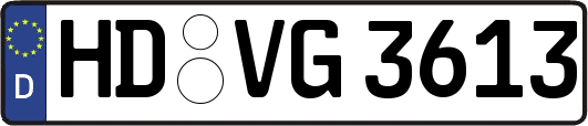 HD-VG3613