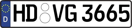 HD-VG3665