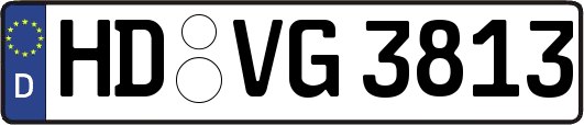 HD-VG3813