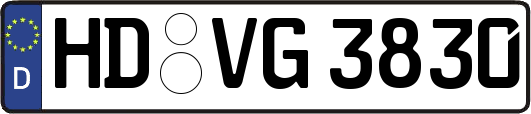 HD-VG3830