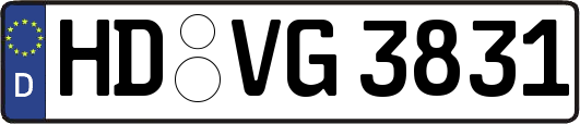 HD-VG3831