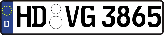 HD-VG3865