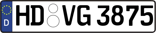 HD-VG3875