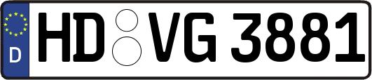 HD-VG3881