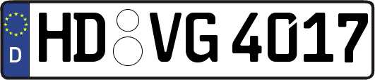 HD-VG4017