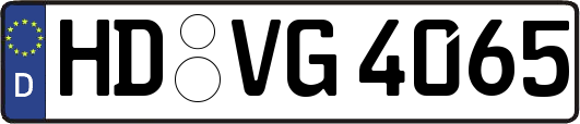 HD-VG4065