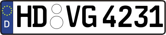 HD-VG4231