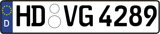 HD-VG4289