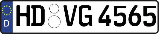 HD-VG4565