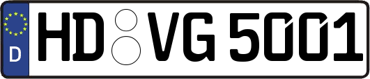 HD-VG5001