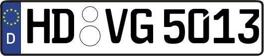 HD-VG5013