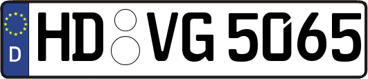 HD-VG5065