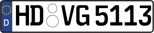 HD-VG5113