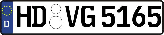 HD-VG5165