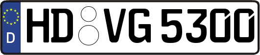 HD-VG5300