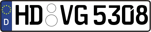 HD-VG5308