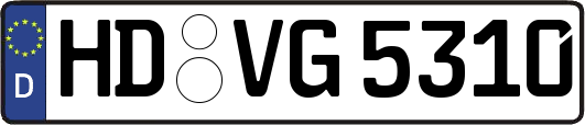 HD-VG5310