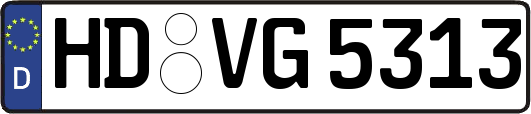 HD-VG5313