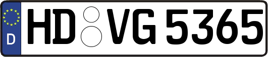 HD-VG5365